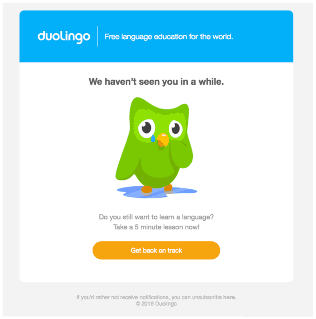 dulingo winback email